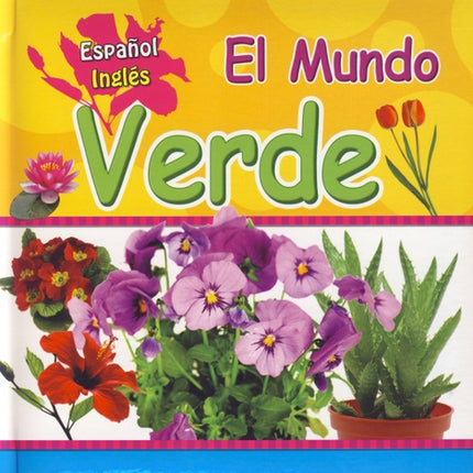 Libro Infantil El Mundo Verde (Español - Inglés)