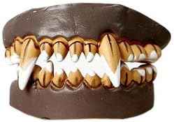 Dentadura Postiza de Terror: Monstruo y Hombre Lobo