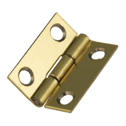 Bisagra + Tornillo