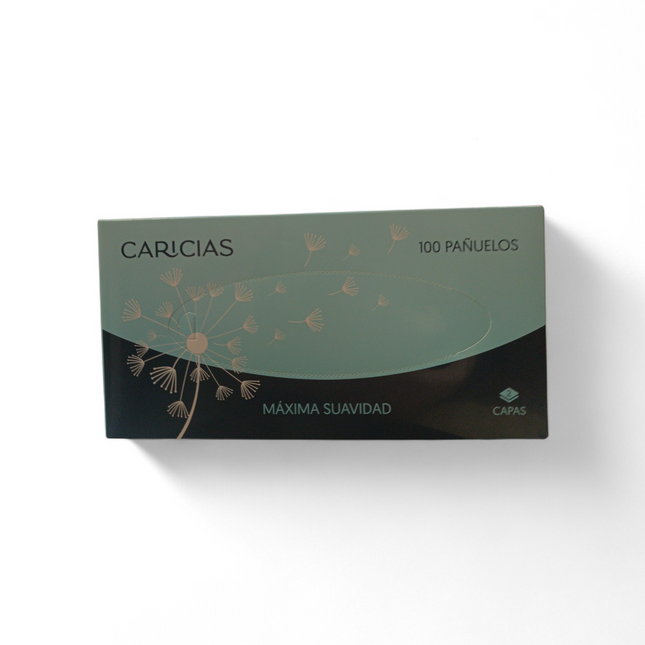 Caja de Pañuelos de 2 Capas Caricias - 100 Pañuelos