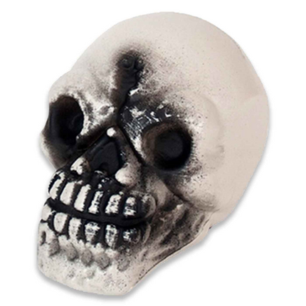 Calavera Decorativa Envejecida para Halloween y Eventos