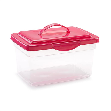 Caja De Plastico Organizadora 9L 35.5x23.5x20Cm PlasticForte Nº 25